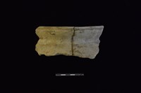 藏品(陶罐)的圖片